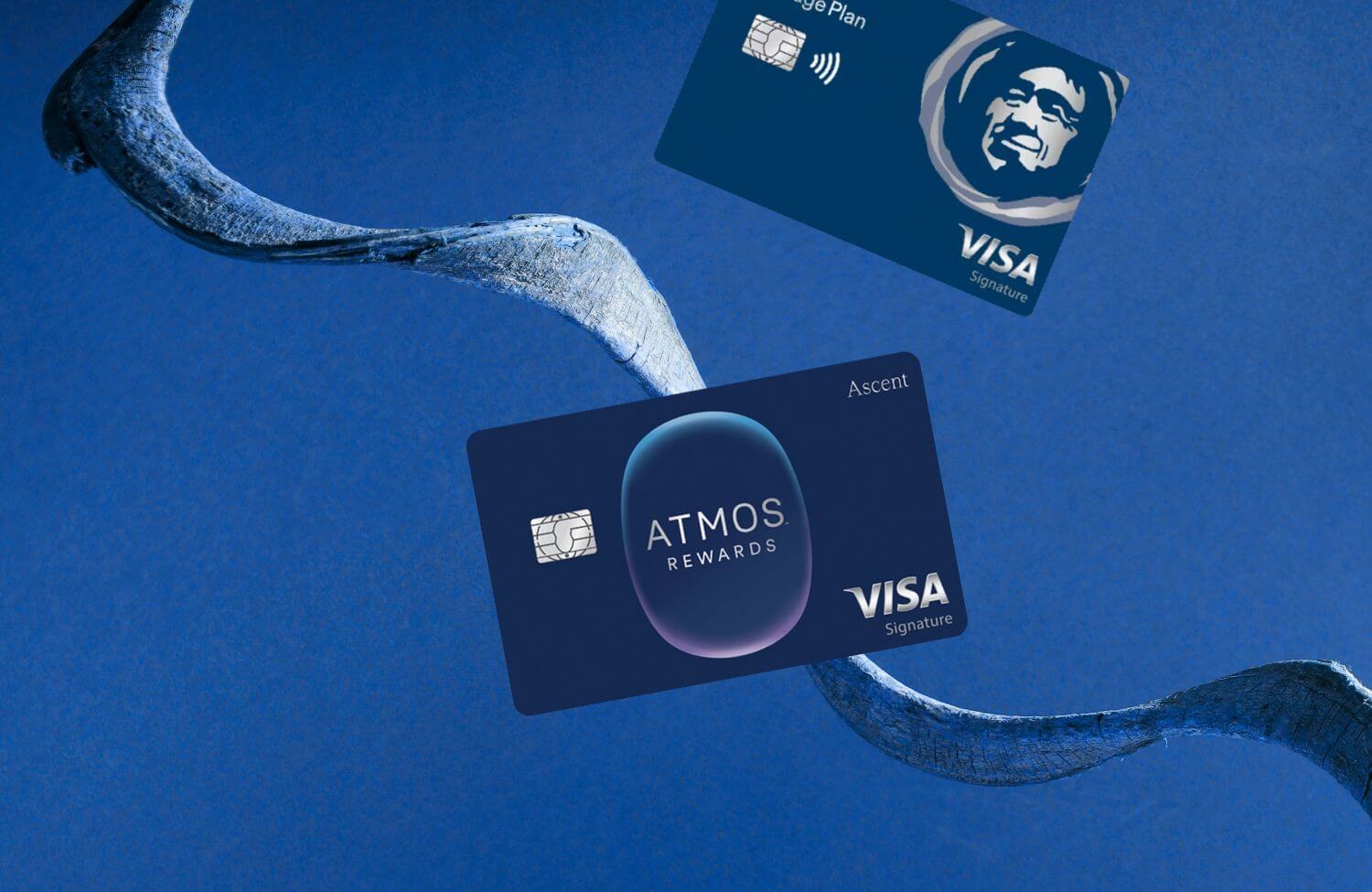 Atmos Rewards Ascent Visa: The Rebranded Alaska Airlines Signature Card That Changes the Game 13 atmos rewards ascent visa the rebranded alaska airlines signature card
