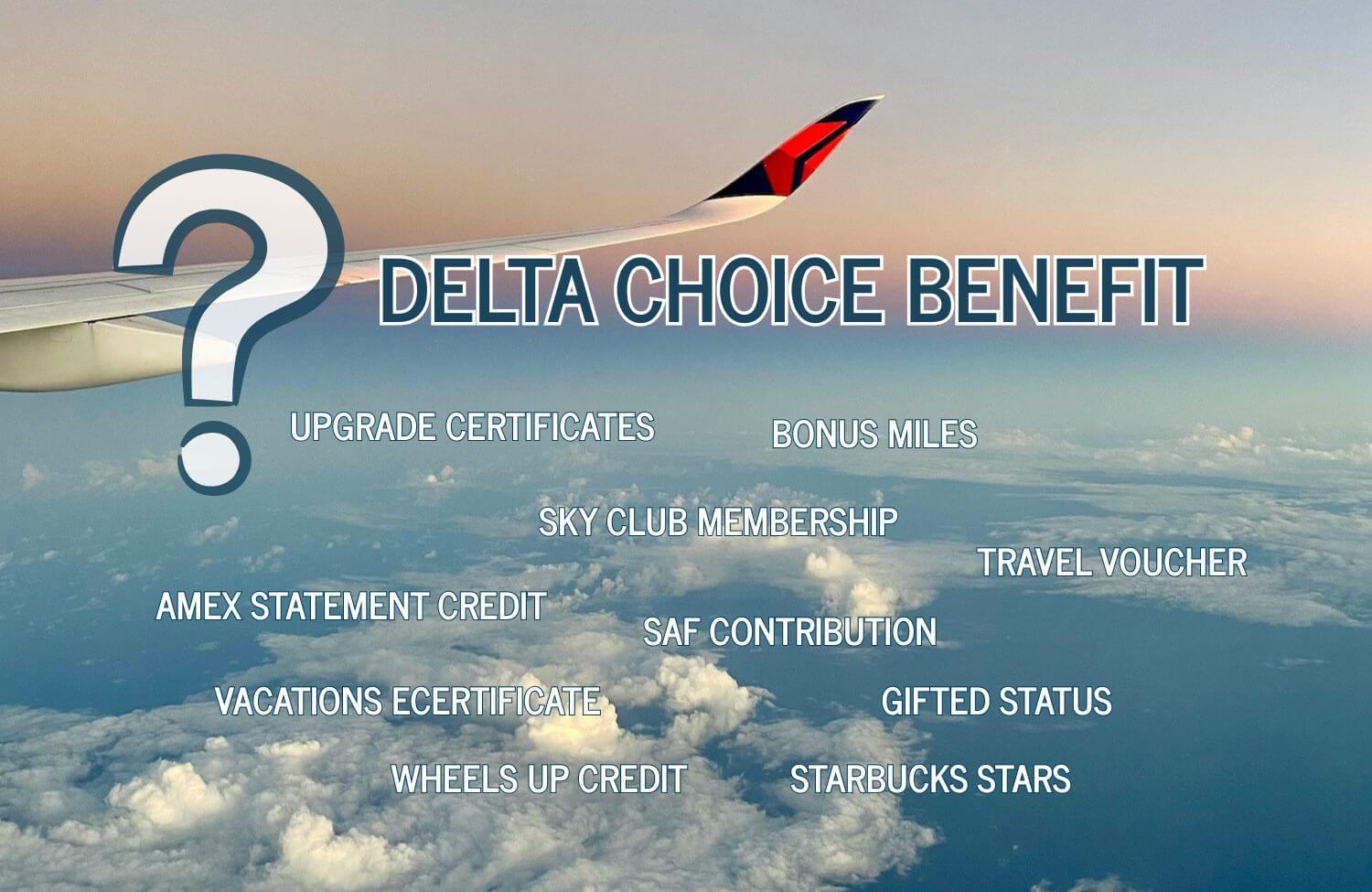 Delta Choice Benefits: Eligibility, Selection, and Real Value in the Delta SkyMiles Medallion Program 3 Delta Choice Benefits