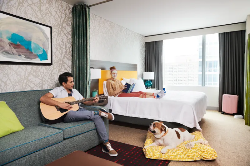 pet friendly hilton hotels worth booking for your next trip
